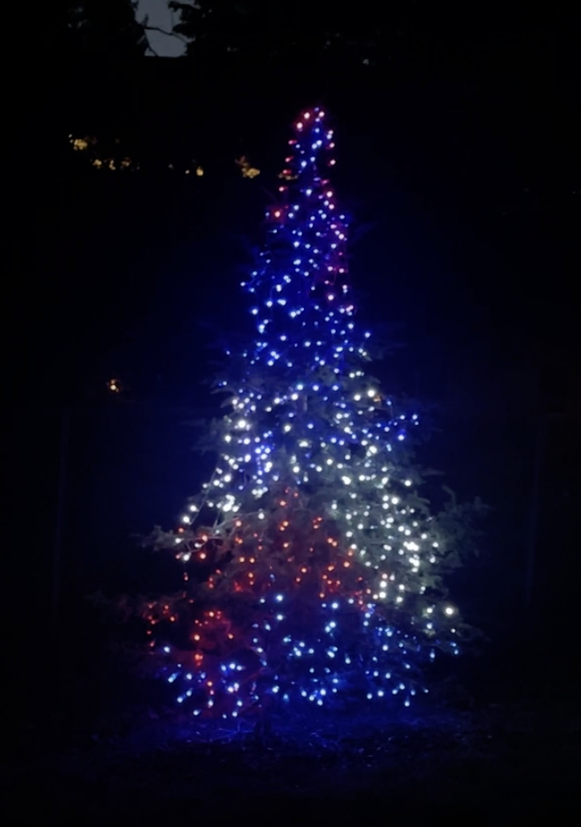 Holiday tree lighting